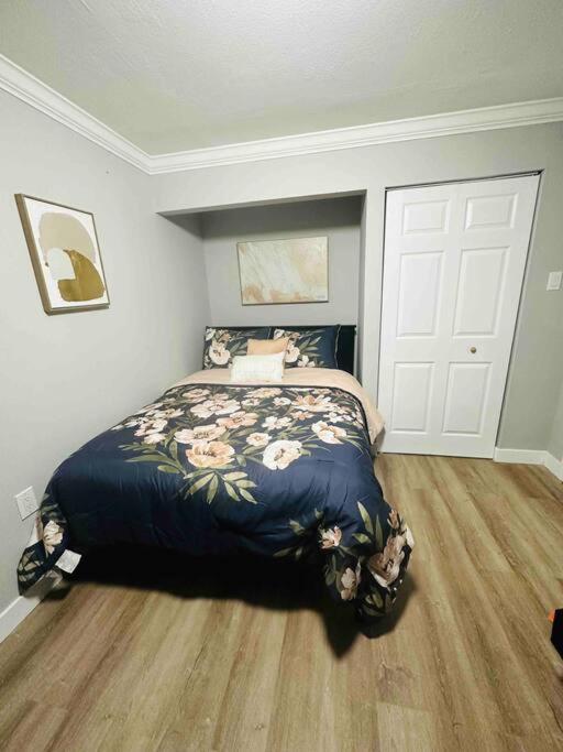 Coral Gables Miami Studio Near Airport And Beaches 外观 照片