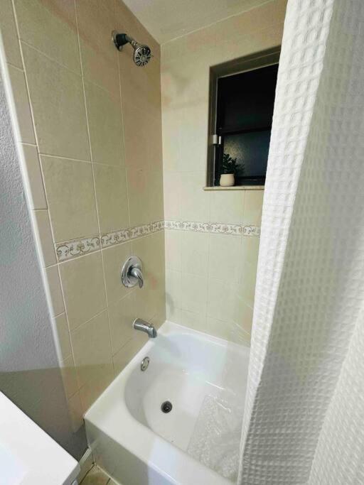 Coral Gables Miami Studio Near Airport And Beaches 外观 照片